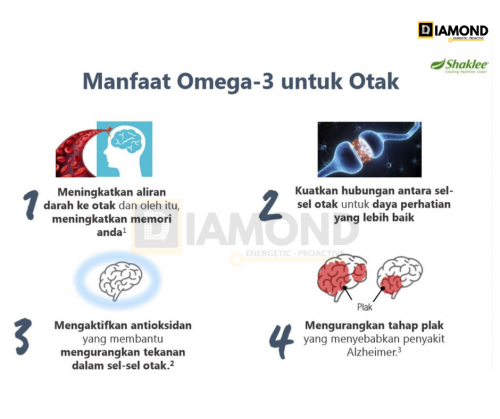 manfaat-omega-3-untuk-otak