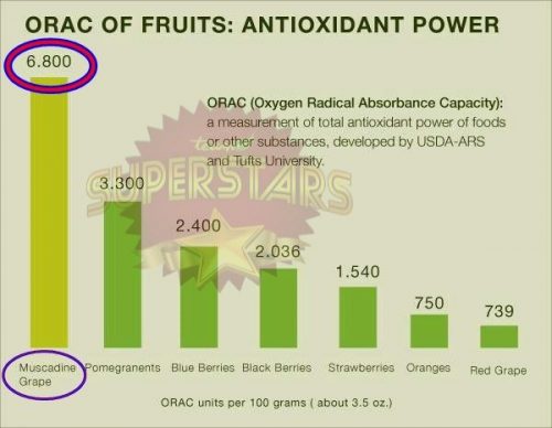  Ujian-ORAC-Muscadine-Grape